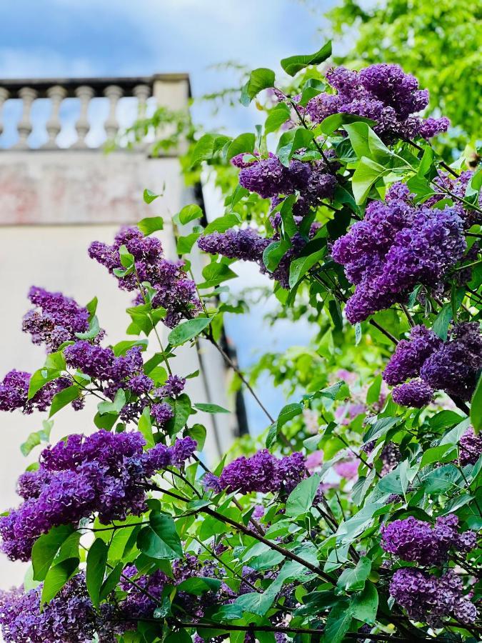 Le Talisman Bed & Breakfast Saint-Germain-en-Laye Exterior photo